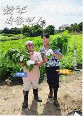东京第七码头的信 爱情日剧推荐封面